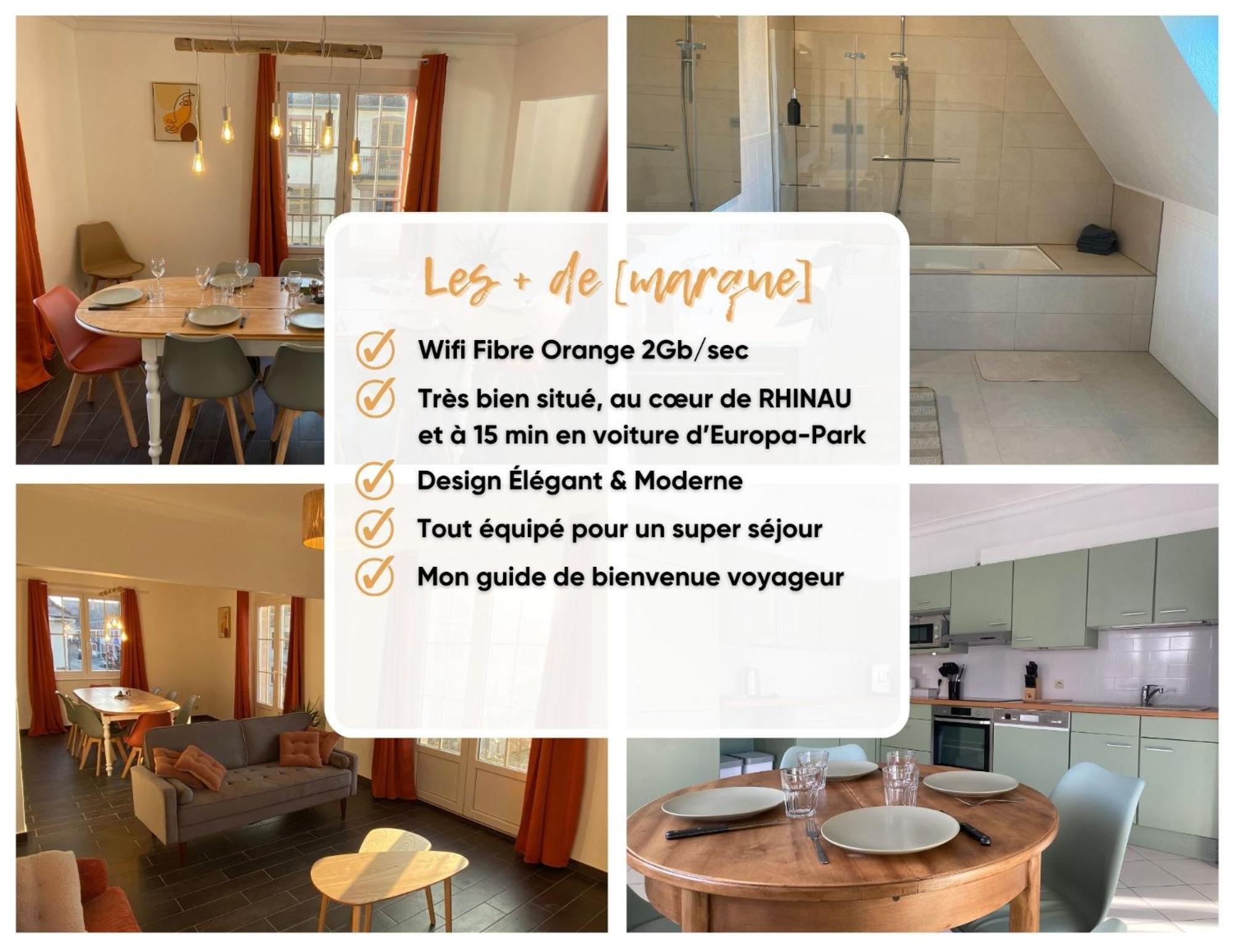 شقة L'Echappee Belle Le Duplex Proche "Europa Park" Rhinau المظهر الخارجي الصورة